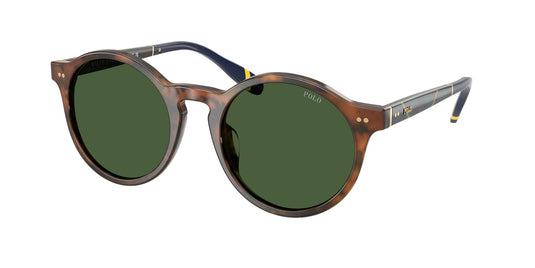 Ralph Lauren PH4204U 50 Gents Sunglasses