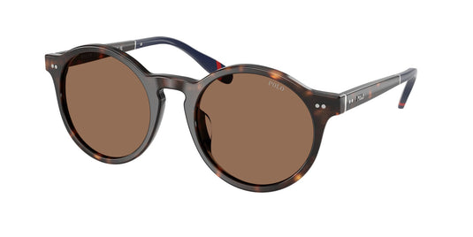 Ralph Lauren PH4204U 53 Gents Sunglasses
