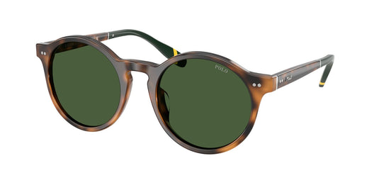 Ralph Lauren PH4204U 53 Gents Sunglasses