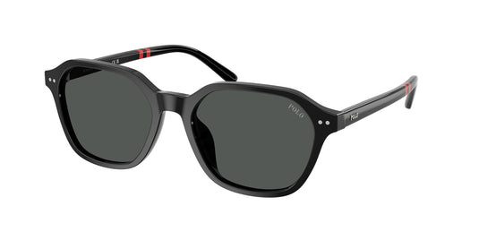 Ralph Lauren PH4234U 54 Gents Sunglasses