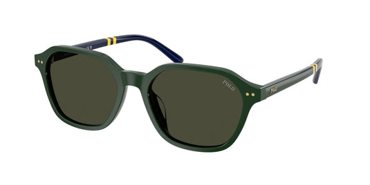 Ralph Lauren PH4234U 54 Gents Sunglasses