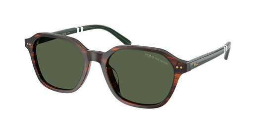 Ralph Lauren PH4234U 54 Gents Sunglasses