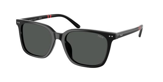 Ralph Lauren PH4235U 54 Gents Sunglasses