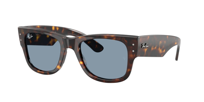 Load image into Gallery viewer, Ray-Ban RB0840S 51 Unisex Sunglasses
