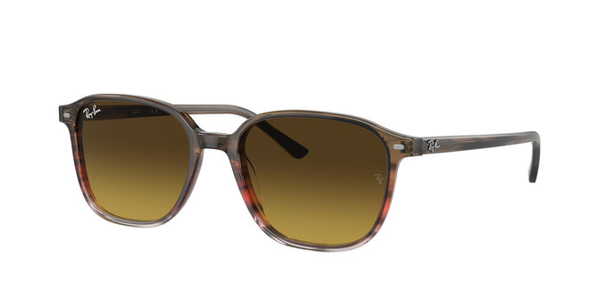 Ray-Ban RB2193 53 Unisex Sunglasses