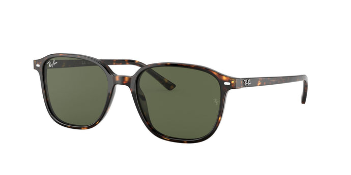 Ray-Ban RB2193 53 Unisex Sunglasses