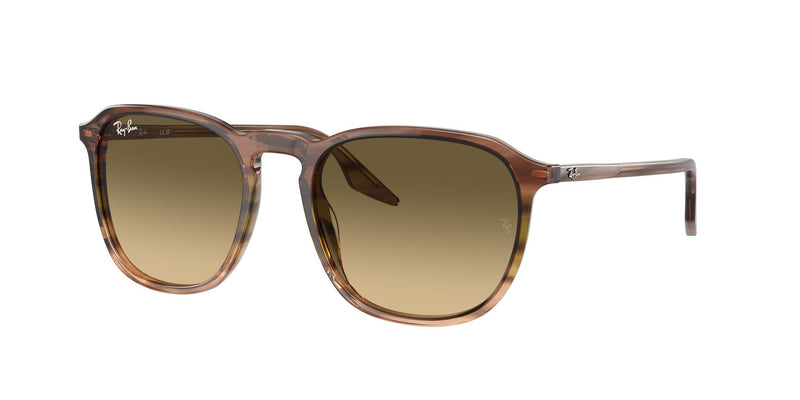 Load image into Gallery viewer, Ray-Ban RB2203 52 Unisex Sunglasses
