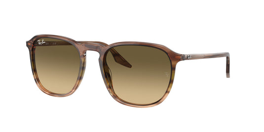 Ray-Ban RB2203 52 Unisex Sunglasses