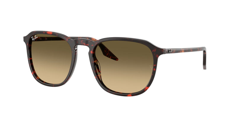 Load image into Gallery viewer, Ray-Ban RB2203 52 Unisex Sunglasses
