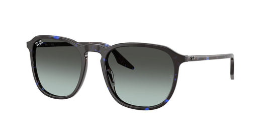 Ray-Ban RB2203 52 Unisex Sunglasses