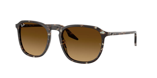 Ray-Ban RB2203 52 Unisex Sunglasses