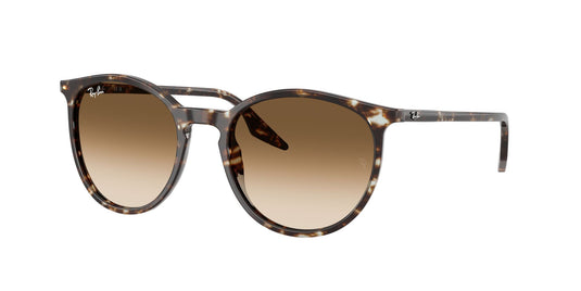 Ray-Ban RB2204 51 Unisex Sunglasses