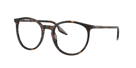 Ray-Ban RB2204 51 Unisex Sunglasses