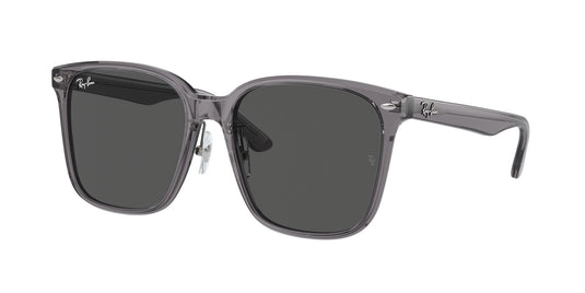 Ray-Ban RB2206D 57 Unisex Sunglasses