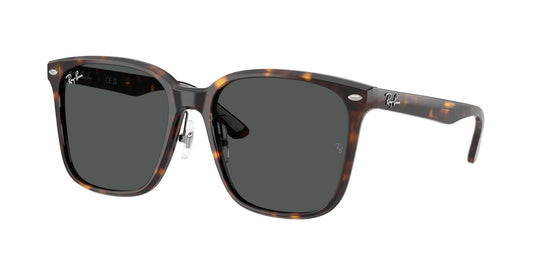 Ray-Ban RB2206D 57 Unisex Sunglasses