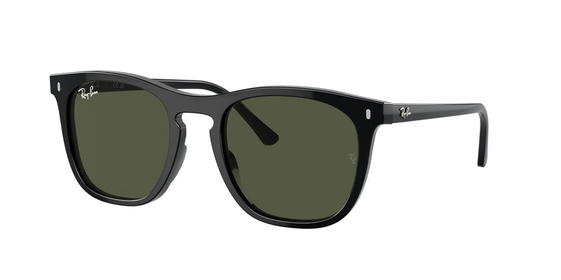 Load image into Gallery viewer, Ray-Ban RB2210 53 Unisex Sunglasses
