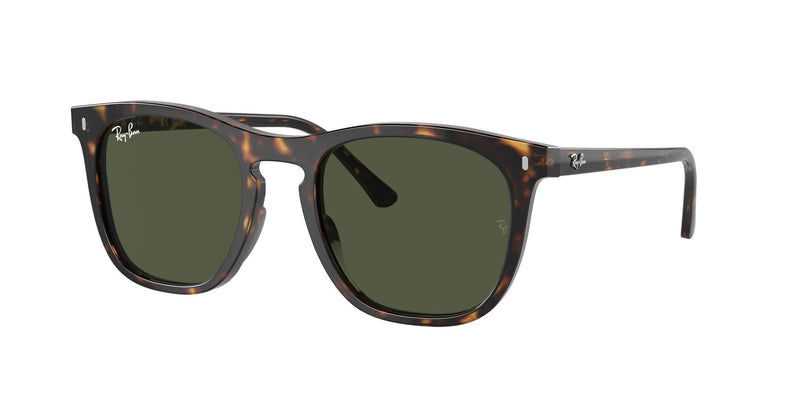 Load image into Gallery viewer, Ray-Ban RB2210 53 Unisex Sunglasses
