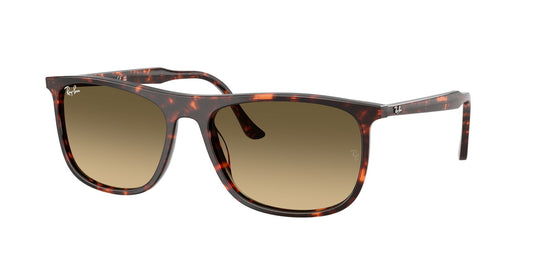 Ray-Ban RB2216 58 Unisex Sunglasses