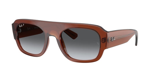 Ray-Ban RB2218 55 Unisex Sunglasses