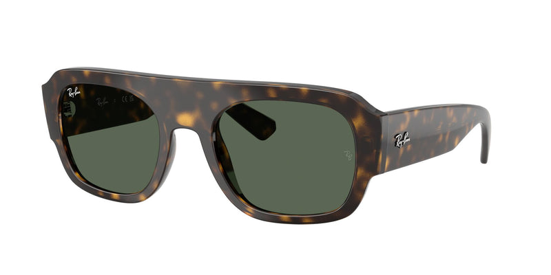 Load image into Gallery viewer, Ray-Ban RB2218 55 Unisex Sunglasses
