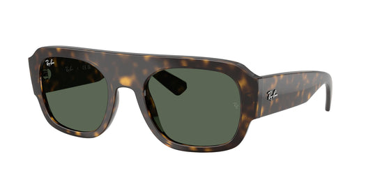 Ray-Ban RB2218 55 Unisex Sunglasses