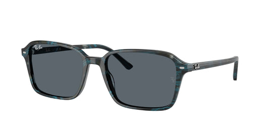 Ray-Ban RB2231 56 Unisex Sunglasses