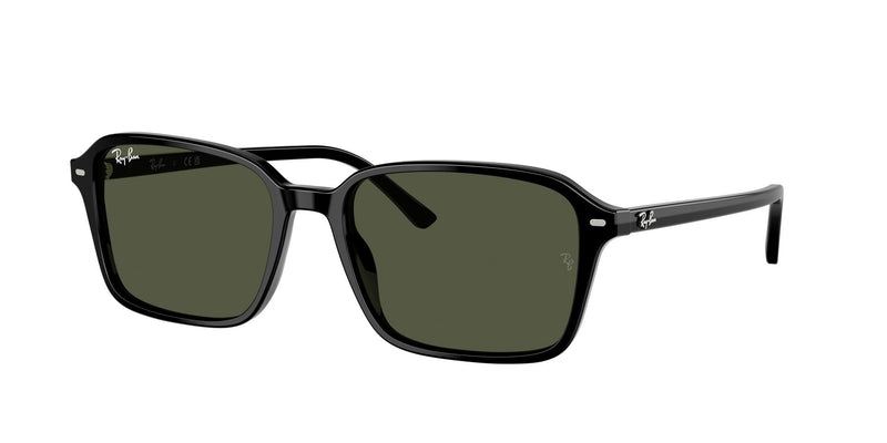 Load image into Gallery viewer, Ray-Ban RB2231 56 Unisex Sunglasses
