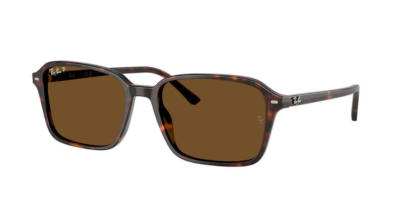 Load image into Gallery viewer, Ray-Ban RB2231 56 Unisex Sunglasses
