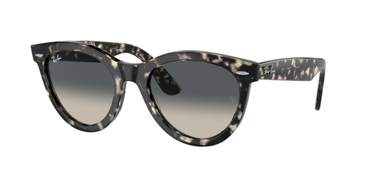 Ray-Ban RB2241 51 Unisex Sunglasses