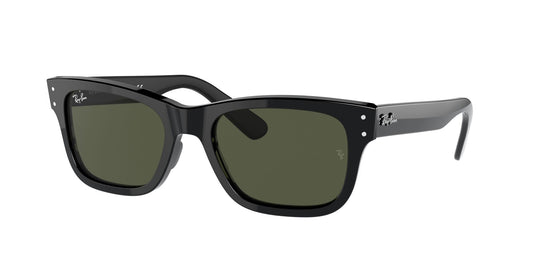 Ray-Ban RB2283 52 Gents Sunglasses