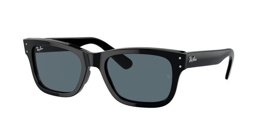 Ray-Ban RB2283 55 Gents Sunglasses