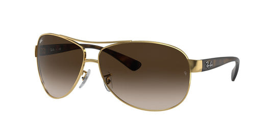 Ray-Ban RB3386 67 Gents Sunglasses