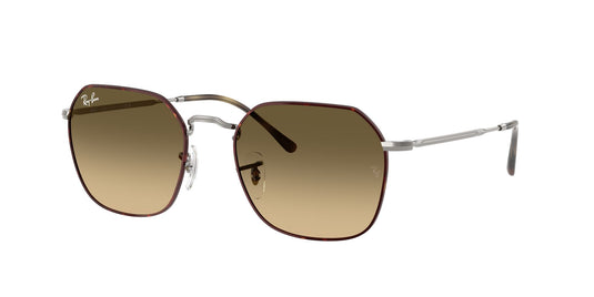 Ray-Ban RB3694 53 Unisex Sunglasses
