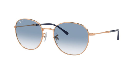 Ray-Ban RB3809 53 Unisex Sunglasses