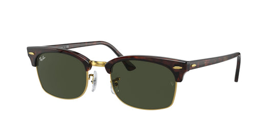 Ray-Ban RB3916 52 Unisex Sunglasses