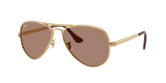 Ray-Ban RB3925 58 Unisex Sunglasses