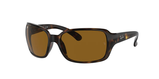 Ray-Ban RB4068 60 Ladies Sunglasses