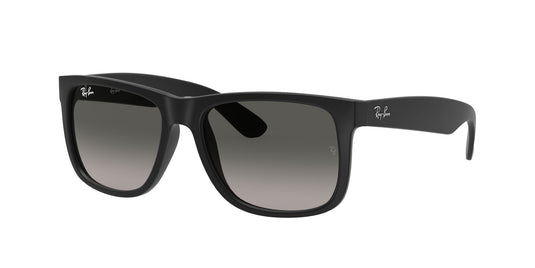 Ray-Ban RB4165 55 Gents Sunglasses