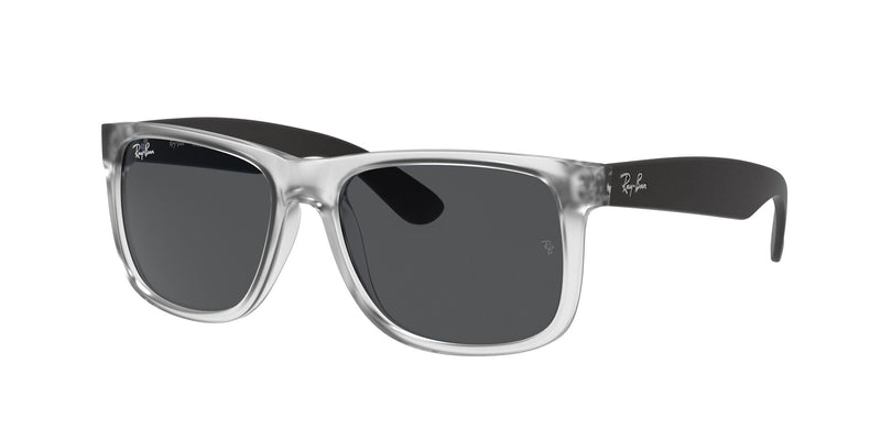 Load image into Gallery viewer, Ray-Ban RB4165 55 Gents Sunglasses
