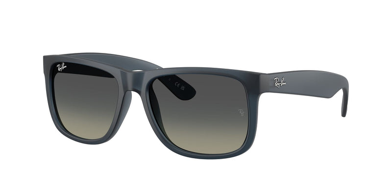 Load image into Gallery viewer, Ray-Ban RB4165 55 Gents Sunglasses

