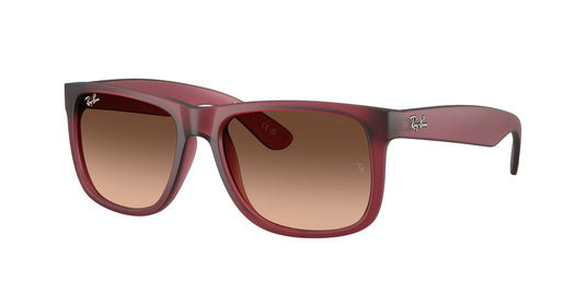 Ray-Ban RB4165 55 Gents Sunglasses