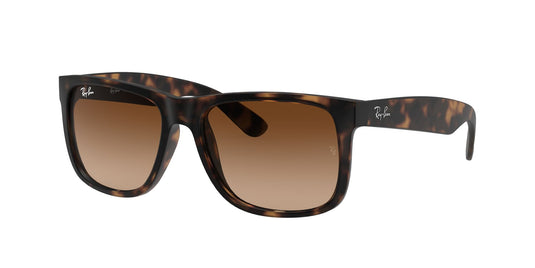 Ray-Ban RB4165 55 Gents Sunglasses