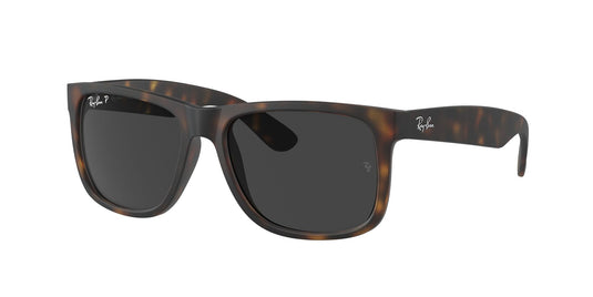 Ray-Ban RB4165 55 Gents Sunglasses