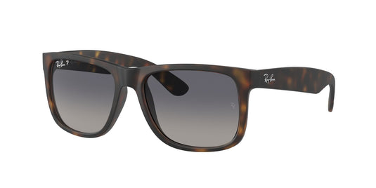 Ray-Ban RB4165 55 Gents Sunglasses