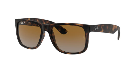 Ray-Ban RB4165 55 Gents Sunglasses