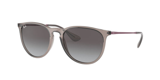 Ray-Ban RB4171 54 Ladies Sunglasses