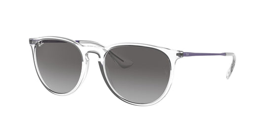 Ray-Ban RB4171 54 Ladies Sunglasses