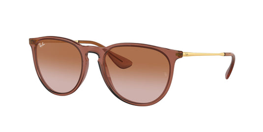 Ray-Ban RB4171 54 Ladies Sunglasses
