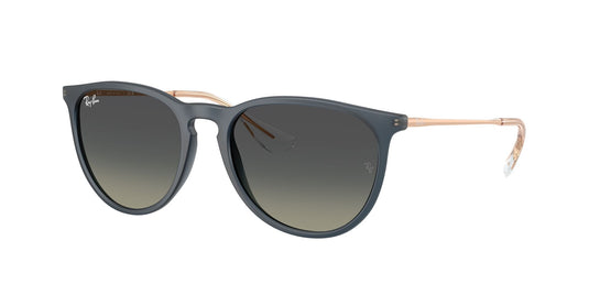 Ray-Ban RB4171 54 Ladies Sunglasses