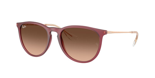 Ray-Ban RB4171 54 Ladies Sunglasses